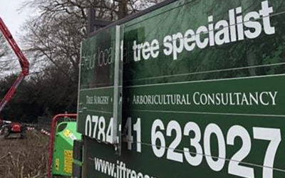 What Does a Tree Surgeon do?
