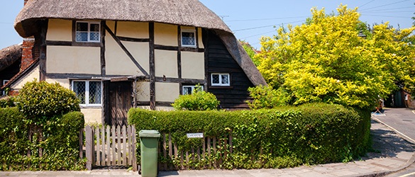 Cypress pruning Cottage