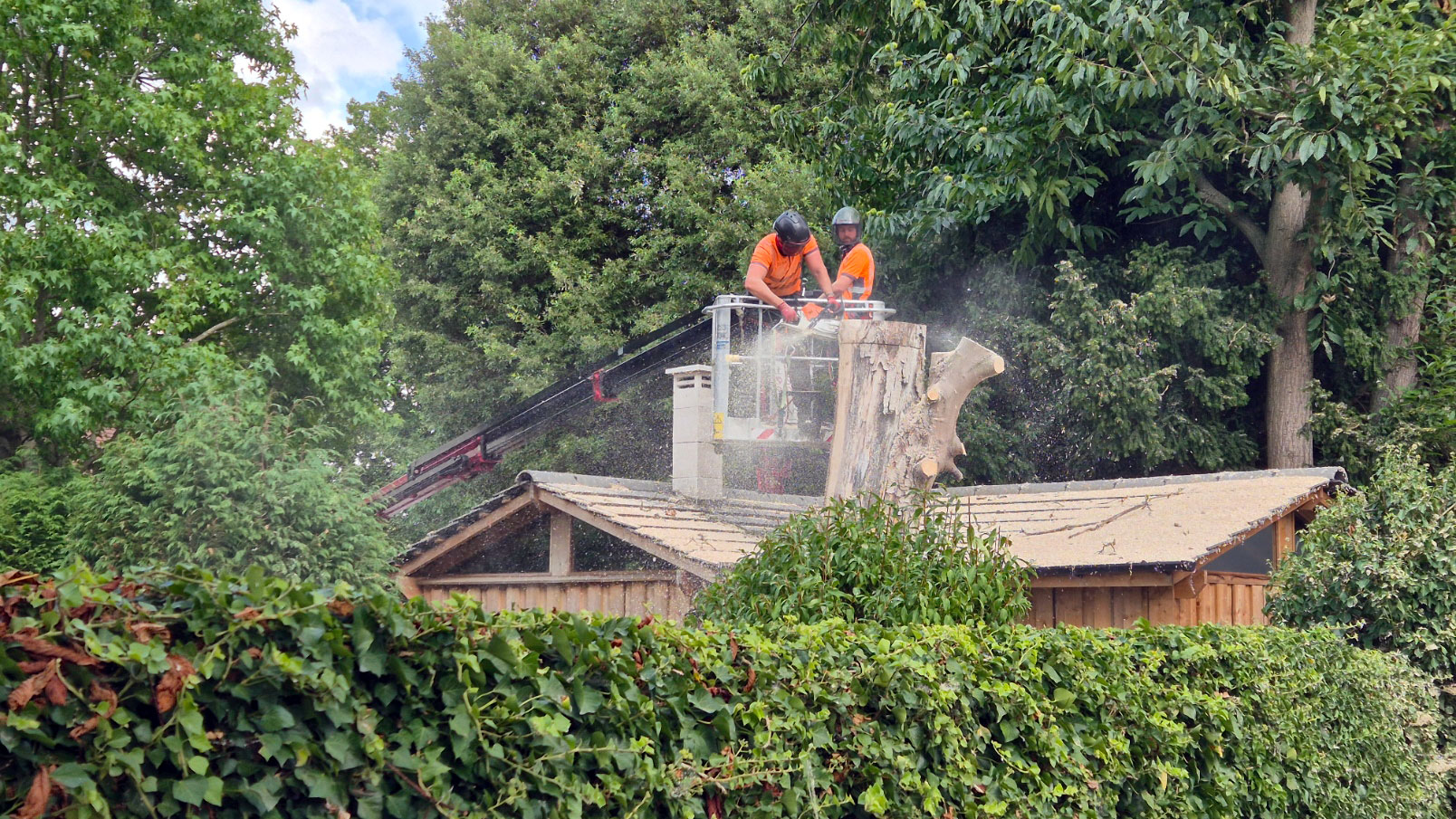 Cherry Picker Colchester Tree Surgery