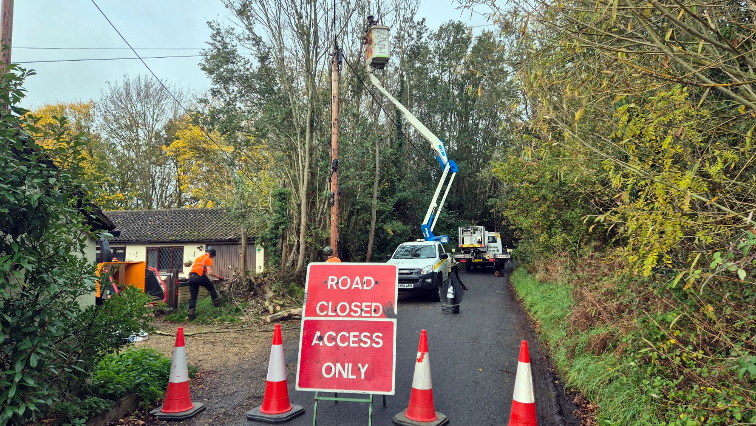Tree Surgery Road Closed